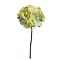 Hortensia grøn/lilla 40cm